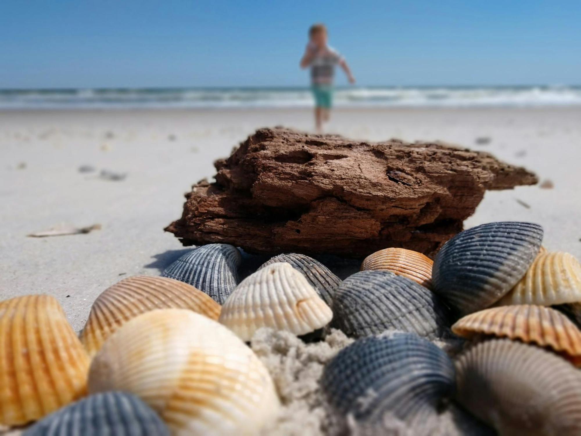Ocean Sands Beach Inn (Adults Only) Сент-Огастин Экстерьер фото